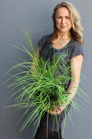 Lotena, sztuczna trawa z sukulentami, wys.70cm