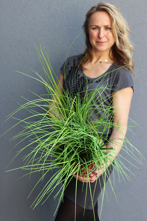 Lotena, sztuczna trawa z sukulentami, wys.70cm