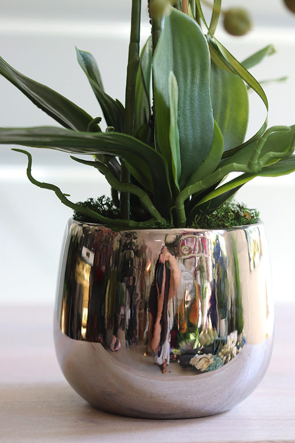 efektowny storczyk w złotej donicy, Rullia, wys.72cm