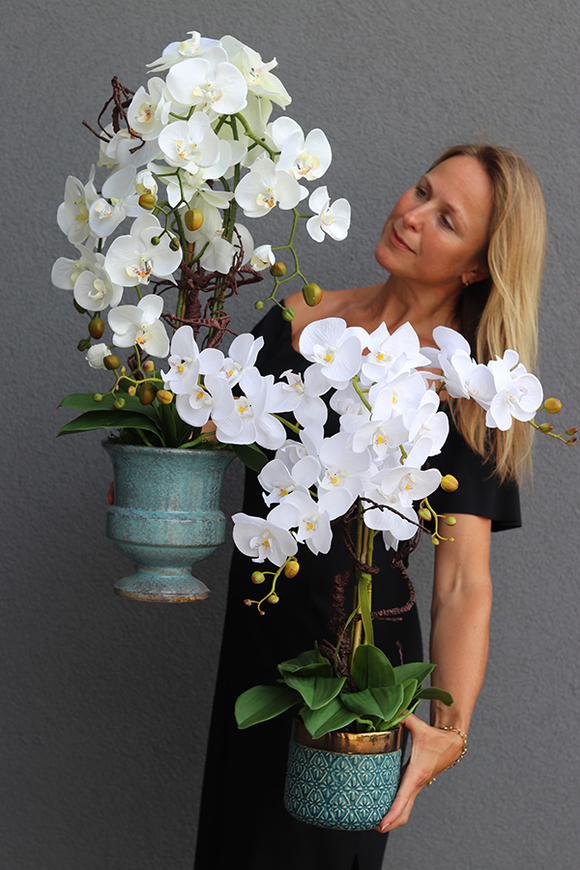 biały storczyk w niebieskiej donicy, Turkusso, wys.72cm 