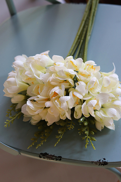 bukiet wiosennych kremowych Frezji, 10szt. dł.67cm