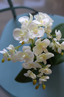 OD RĘKI Krena Mini, sztuczny storczyk w lustrzanej doniczce, wys.29cm 