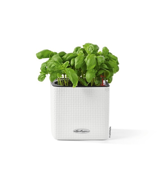 Cube, elegancka donica z nawadnianiem, biała, wym.14x14cm