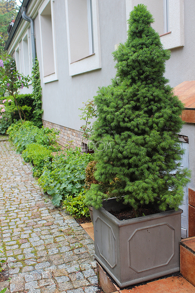 Grigio donica kwadratowa B wym.43x43x40.5cm