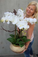 Eduardo, gumowy storczyk w złotej metalowej donicy, wys.70cm