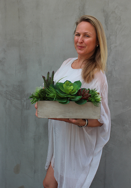 Moderna, kompozycja sukulentów w cementowej donicy, wys.25cm