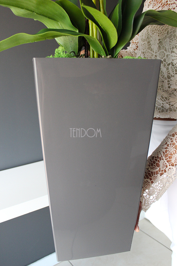 bardzo duży storczyk Emilie Grande Grey w minimalistycznej donicy, wys.120cm