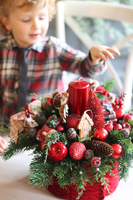 box świąteczny / stroik, Gwiazdka z Leonem, wys.32cm