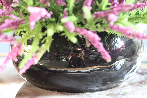 kompozycja w połyskującej czarnej donicy, Wrzosy Melania, wys.22cm 