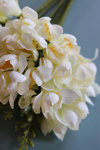 bukiet wiosennych kremowych Frezji, 10szt. dł.67cm