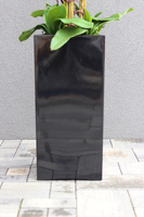 Grande Fiberglass Black Cymbydium, efektowny storczyk w czarnej donicy z fiberglass, wys.134cm