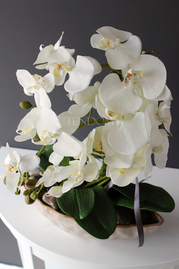 storczyk Laos 3 w ceramicznej "gniecionej" donicy, wys.53cm