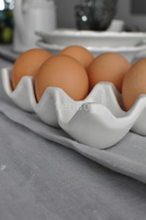 pojemnik na jajka Simple