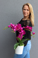 Mediolan Fuksja Mini 2, storczyk w matowej osłonce, wys.42cm