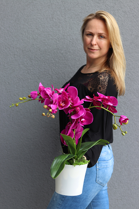 Mediolan Fuksja Mini 2, storczyk w matowej osłonce, wys.42cm