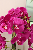 Fuksjowa Delicja, sztuczny storczyk w czarnej donicy, wys.60cm