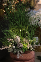 kompozycja zimowa z traw, Winter Laos, wys. 76cm