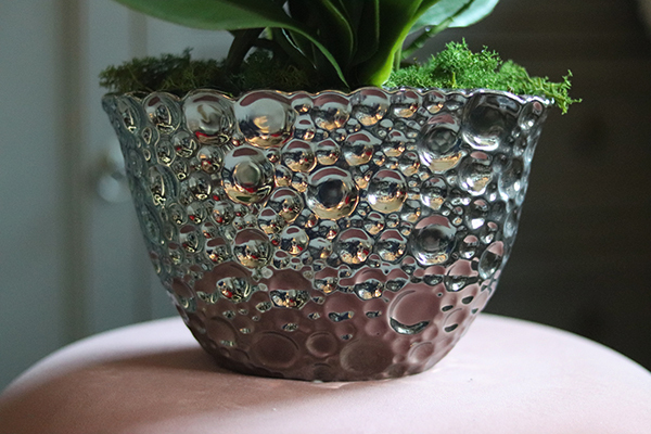 Kellano, fuksjowy storczyk w srebrnej donicy, wys.59cm