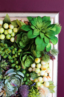 efektowna kwietna rama jednostronna, Sukulenty Revollito, wym.40x34.5cm