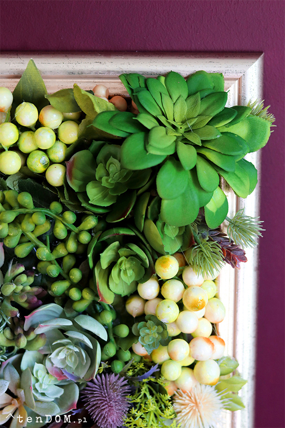 efektowna kwietna rama jednostronna, Sukulenty Revollito, wym.40x34.5cm