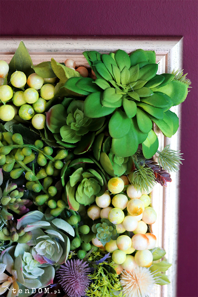 efektowna kwietna rama jednostronna, Sukulenty Revollito, wym.40x34.5cm