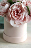 uroczy welurowy flowerbox z piwoniami, Severna Pink, wys.22cm