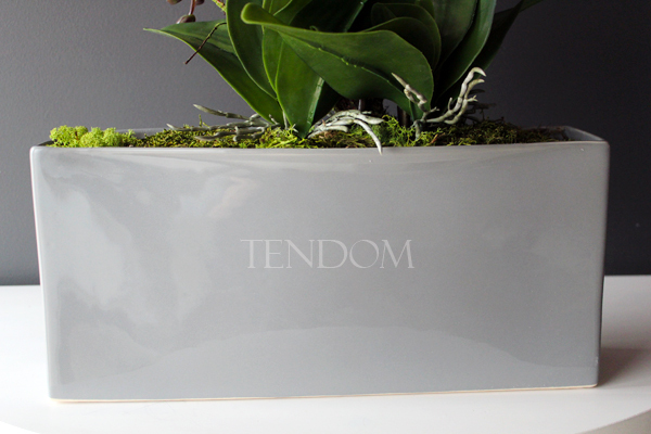 obfity storczyk Sylvia w kolorze fuksji w minimalistycznej donicy, wys.75cm