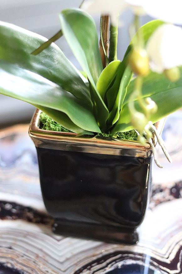 Black&Gold Premium, elegancki storczyk w ceramicznej donicy, wys.50cm