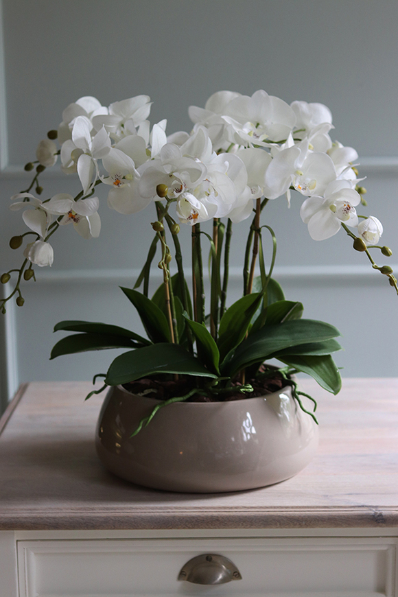 Beduaro Beige storczyk w beżowej misie, wys.47cm 