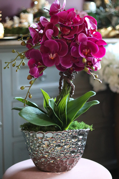 Kellano, fuksjowy storczyk w srebrnej donicy, wys.59cm