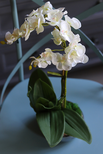 OD RĘKI Krena Mini, sztuczny storczyk w lustrzanej doniczce, wys.29cm 