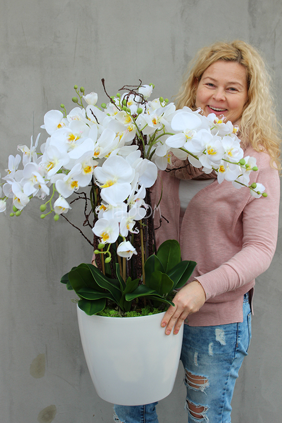 duży storczyk Mediolan Round 2 w białej lub kremowej donicy, wys.85cm