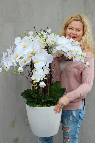 duży storczyk Mediolan Round 2 w białej lub kremowej donicy, wys.85cm