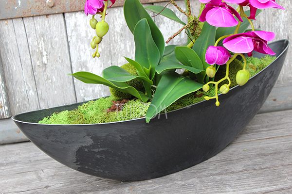 storczyk Laos Fuksja w plastikowej donicy łódce, wys.56cm