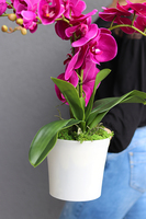 Mediolan Fuksja Mini 2, storczyk w matowej osłonce, wys.42cm