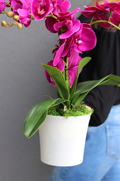 Mediolan Fuksja Mini 2, storczyk w matowej osłonce, wys.42cm