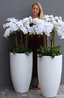 Design White Grande, ogromny storczyk, wys.155cm 