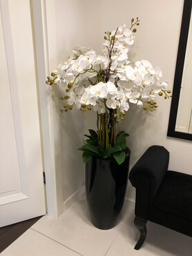 Grande Fiberglass Extra Naturalna Biel, efektowny storczyk w czarnej donicy z fiberglass (połysk), wys.140cm