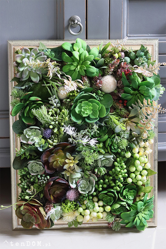 efektowna kwietna rama jednostronna, Sukulenty Revollito, wym.40x34.5cm