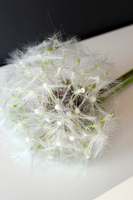 dmuchawiec, sztuczny kwiat, wys. 100 cm