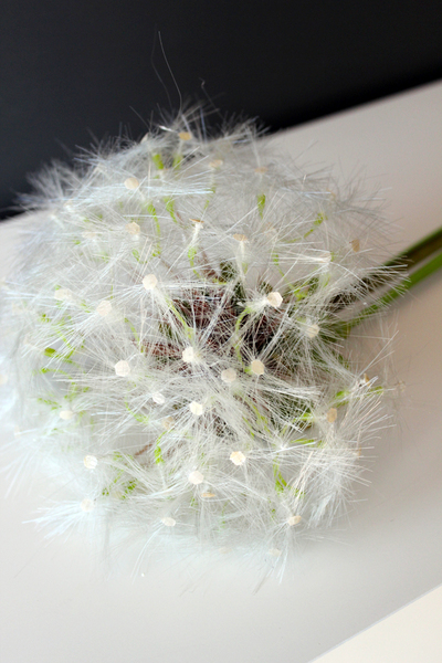 dmuchawiec, sztuczny kwiat, wys. 100 cm