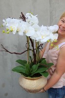 Eduardo, gumowy storczyk w złotej metalowej donicy, wys.70cm