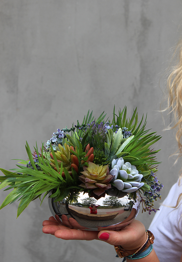 Maria Silver, kompozycja sukulenty w okrągłej donicy, wys.16cm