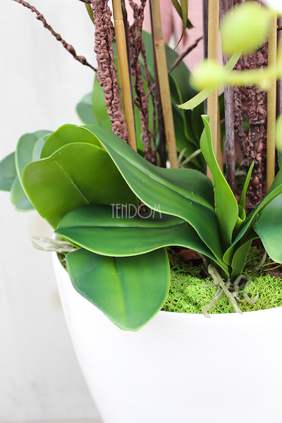 duży storczyk Mediolan Round 2 w białej lub kremowej donicy, wys.85cm