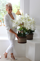 Lauren duży biały storczyk w brązowej donicy, wys.90cm