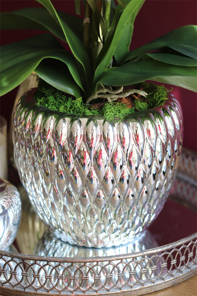 Diamondo, biały storczyk w srebrnej donicy, wys.63cm