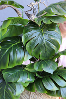 drzewko sztuczne Monstera w bogato zdobionej osłonce, wys.80cm