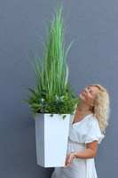 Anna Design White, kompozycja z traw w białej donicy, wys.126cm 