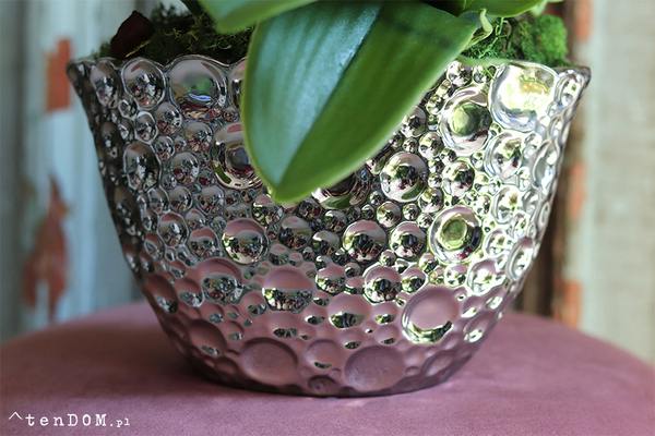 Kellano, fuksjowy storczyk w srebrnej donicy, wys.59cm