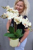 Primadonna, zjawiskowy storczyk w ceramicznej donicy, wys.56cm